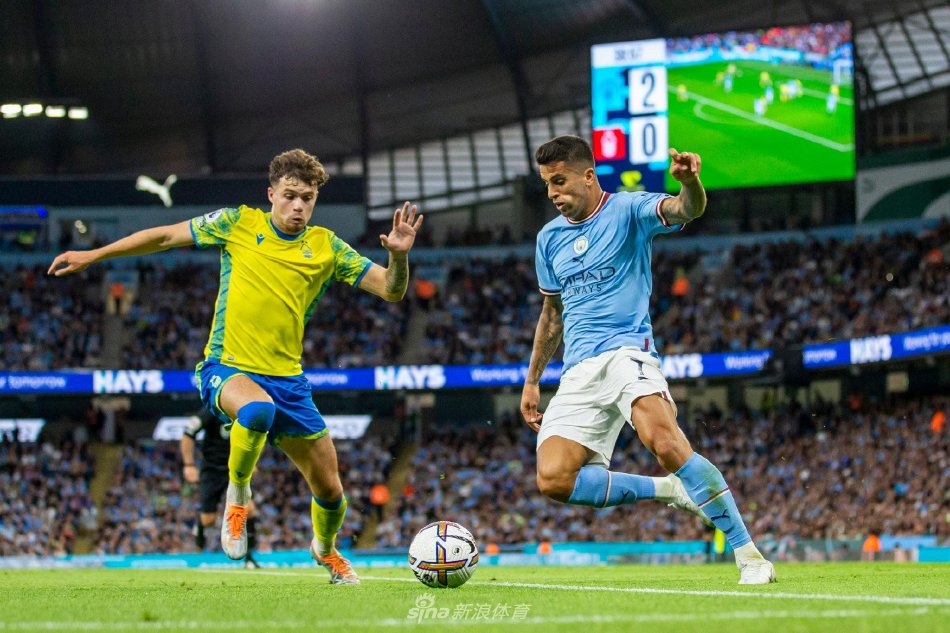 仅证明了他 仅证明了他